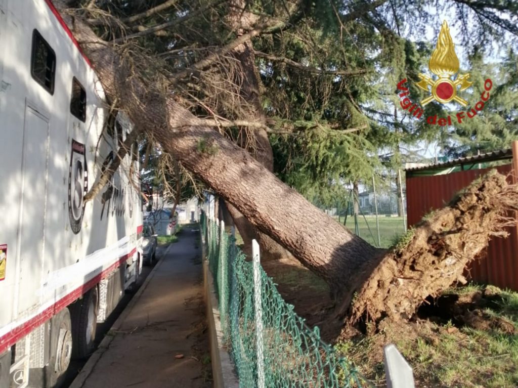 Parchi chiusi per verifiche a seguito del forte vento