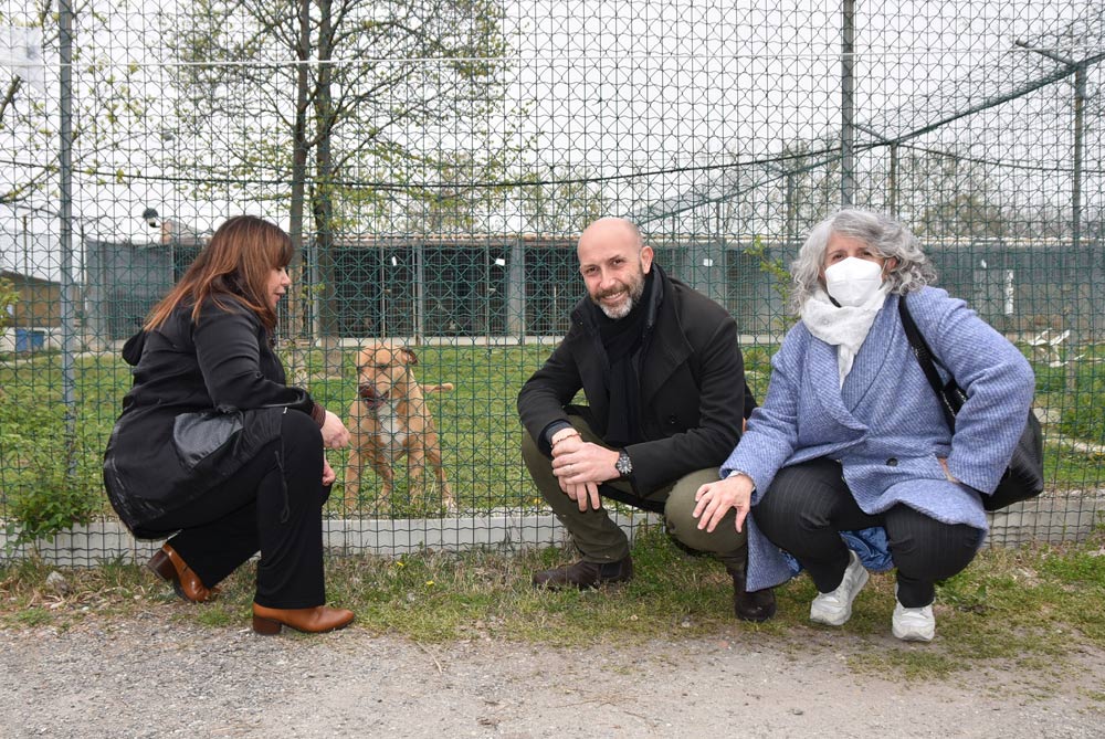 Al via la riqualificazione complessiva degli alloggi per gli animali negli spazi del Polo d’affezione