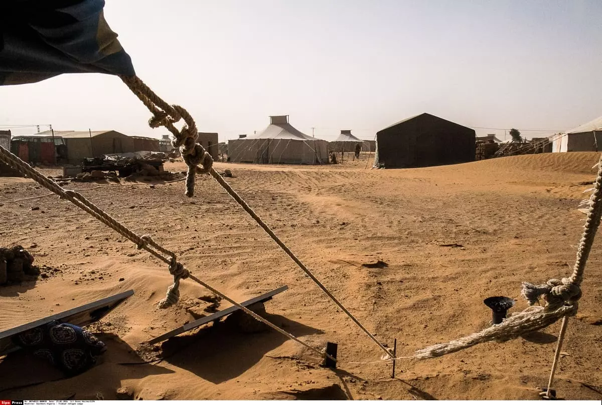 Sahara occidentale, analisi Fdd “Fronte Polisario addestrato dall’Iran” Sahara occidentale, analisi Fdd “Fronte Polisario addestrato dall’Iran”