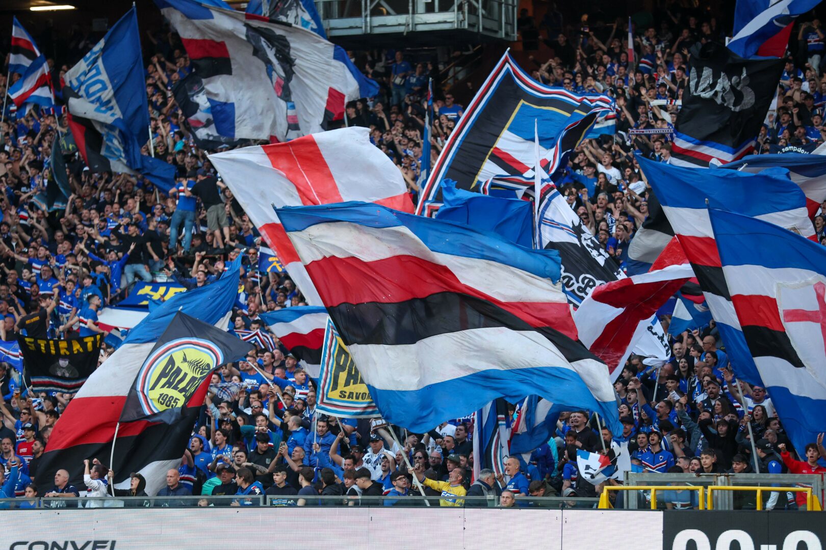 La Sampdoria retrocede in Serie C, playout Frosinone-Salernitana: tutti i verdetti La Sampdoria retrocede in Serie C, playout Frosinone-Salernitana: tutti i verdetti