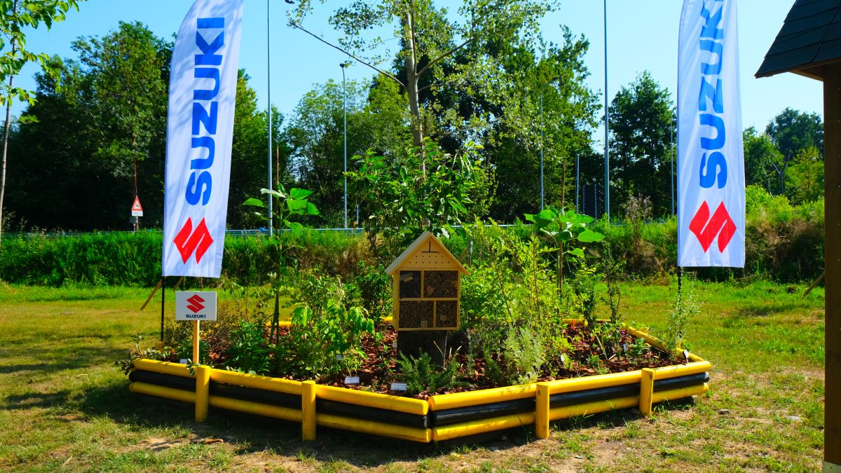 Suzuki crea “Il Giardino delle API Suzuki #2” Suzuki crea “Il Giardino delle API Suzuki #2”