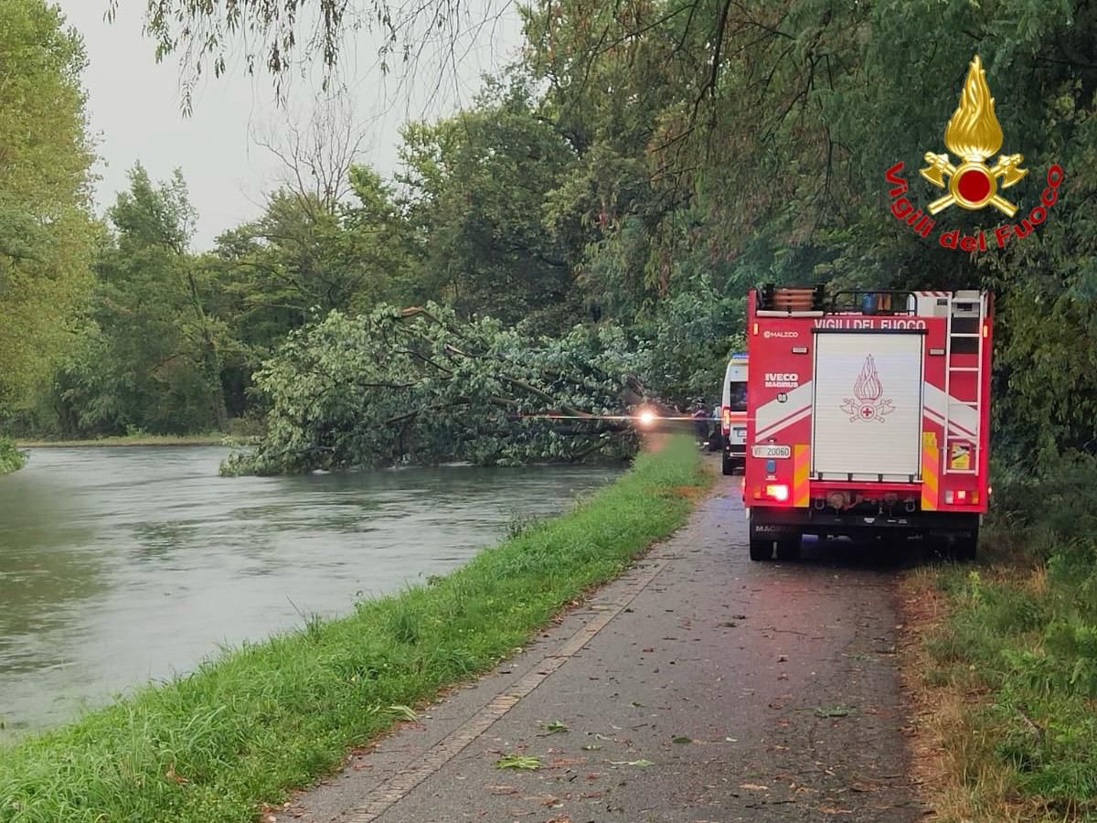 Nubifragio nel milanese, morta una donna colpita da un albero Nubifragio nel milanese, morta una donna colpita da un albero