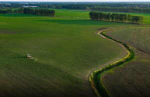 Portavoce Cina, pronti a facilitare commercio agricolo bilaterale con Usa