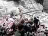 Bus precipita in un burrone in Pakistan, almeno 40 morti