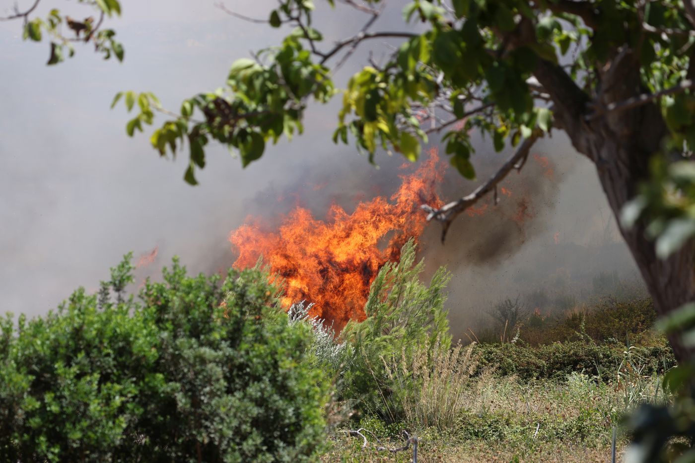 Incendi, migliora la situazione nel Palermitano mentre resta l’allerta nell’Agrigentino. Un vigile del fuoco muore durante i soccorsi
