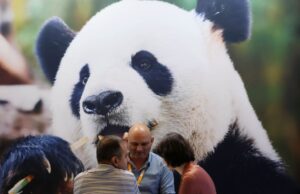 Cina, in aumento dell’11,3% i ricavi dell’industria pubblicitaria