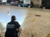 Trani, rissa tra giovani. Diciottenne muore accoltellato